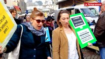 Saint-Brieuc. Ils organisent une 