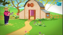Bingo Dog Song - Nursery Rhyme With Lyrics   Cartoon Animation for Children