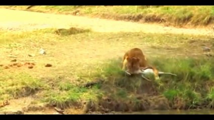 Böyle bir mücadele görülmedi!