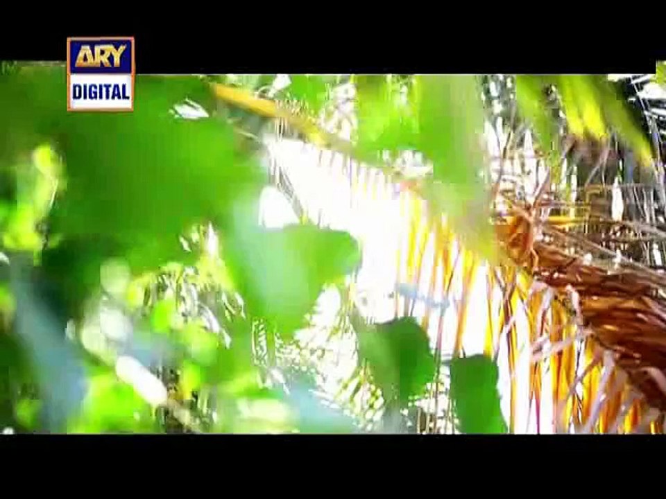 Anabiya Episode 1 on Ary Digital in - 12th March 2016