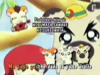 Ending Hamtaro Français Saison 3 - une vidéo Film & TV