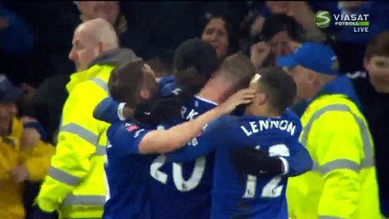 Romelu Lukaku 2-0 Second  HD - Everton 2-0 Chelsea (FA Cup) 12.03.2016 HD
