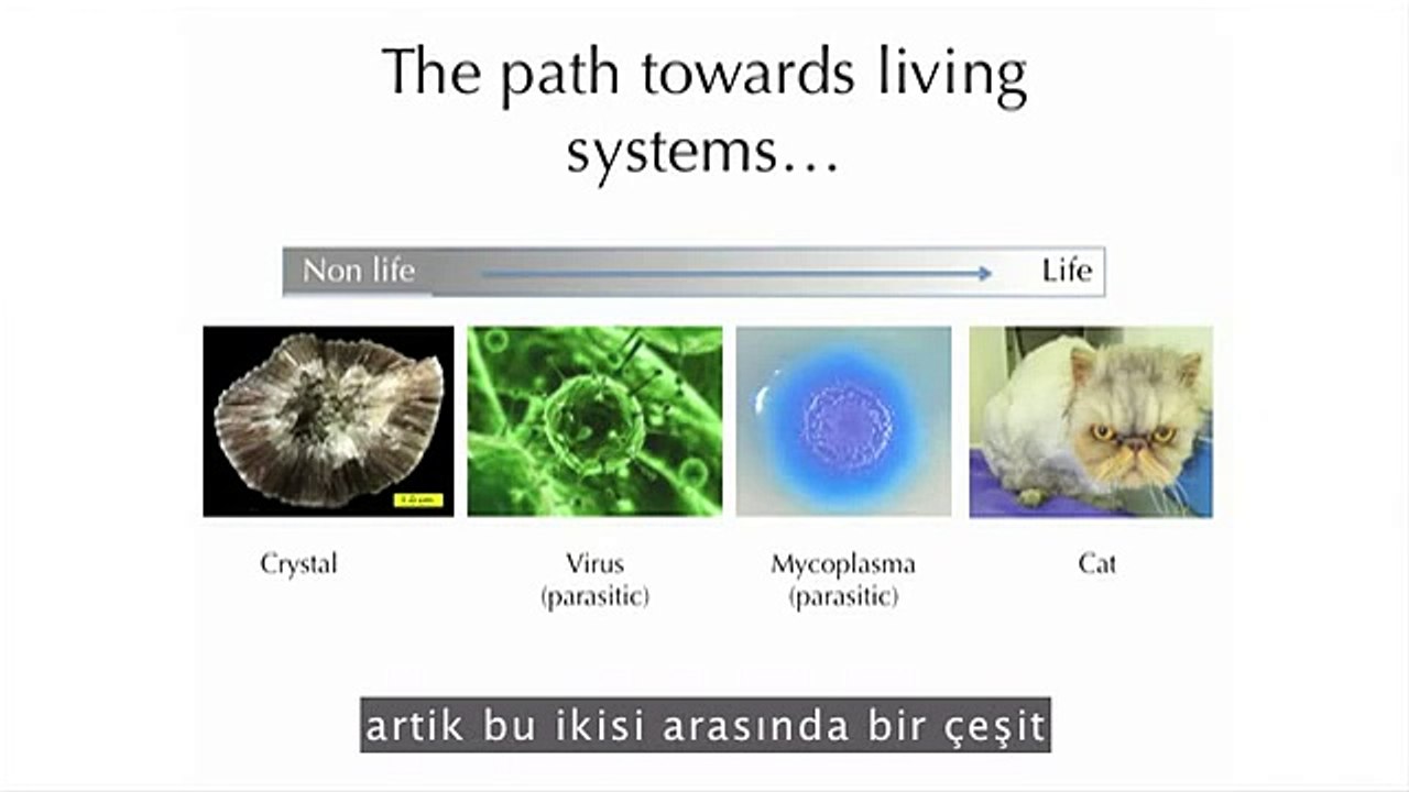 Yaşamla Yaşam Olmayan Arasındaki Çizgi - TED