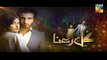 Gul E Rana Episode 18 HD Full HUM TV Drama 12 Mar 2016 FULL HD