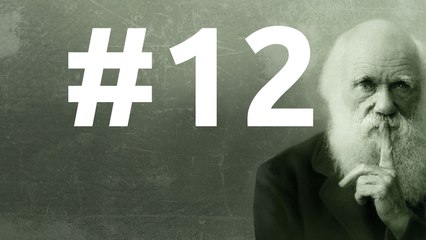 SLEDD#12 du 20 novembre 2010, Vivre ensemble