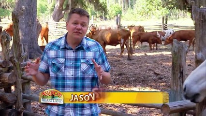 Americas Heartland: Episode 811