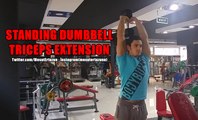 Vücut Geliştirme Hareketleri - Standing Dumbbell Triceps Extension