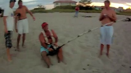 Monster Hammerhead Shark on the Beach
