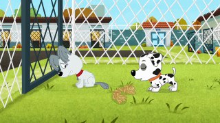 Pound Puppies 2010 Season 02 Episode 10 The Accidental Pup Star (HD 720p)