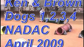 Ken Brown Dogs NACC Agility 1 2 3 4 Apr 09