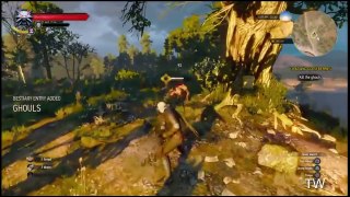 The Witcher 3 gameplay on dual core 2.5 || 4 gb of ram || Radeon HD 5450 2 gb