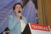 Meral Akşener'den Bahçeli'ye Çağrı: Gelin 8 Nisan'a Bırakmayalım