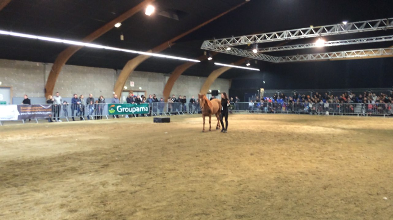 Spectacle équestre Agri Deiz