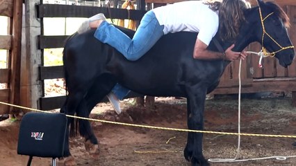 El Domador de Caballos Martin Ochoteco domando cavalo em Itapiranga SC