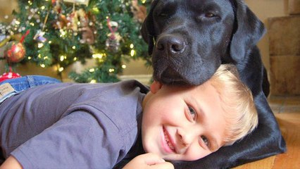 Jedi the Dog Helps His 7-Year-Old “Master” Luke Fight Type-1 Diabetes