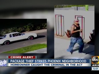 Thieves not taking a break when stealing packages