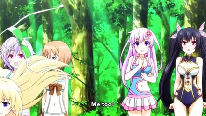 Hyperdimension Neptunia: The Animation The Mysterious Light Grass