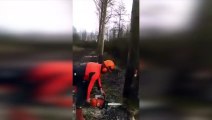 Un bûcheron fait tomber plusieurs arbres D'un seule coups