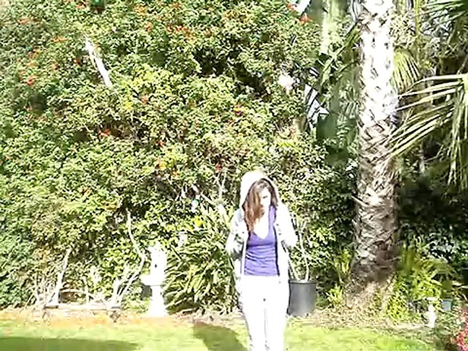 MOV00010