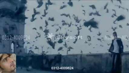 🎶 Best Hindi & Bollywood Songs in Full HD | New & Old Hits for Every Mood