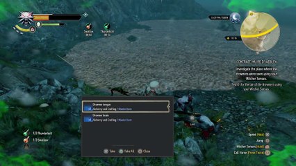 THE WITCHER 3 WALKTHROUGH PART 120 - MUIRE DIYABELEN