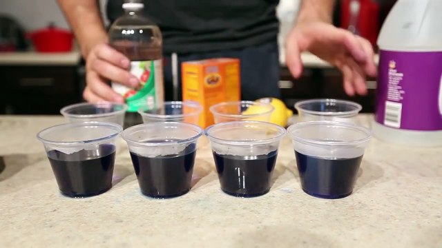 Changement De Couleur De Chou Expériences Scientifiques