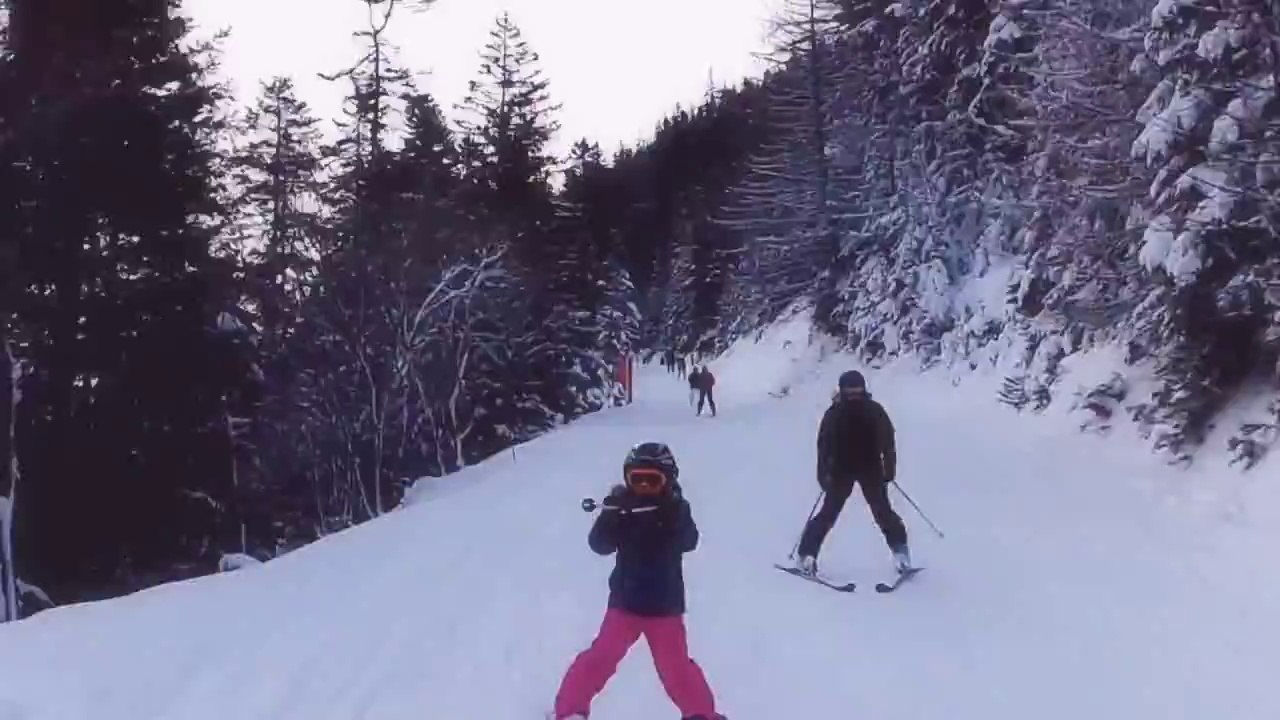 Février 2016 - Ça glisse !