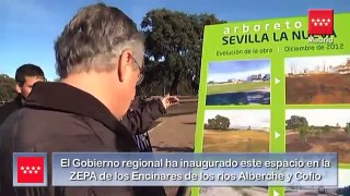 Nueva área recreativa botánica de Sevilla la Nueva