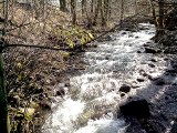 LA DORDOGNE - Basses branches recouvertes de glace!