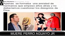 REY MISTERIO LAMENTA en twitter CASO DE PERRO AGUAYO JR!!