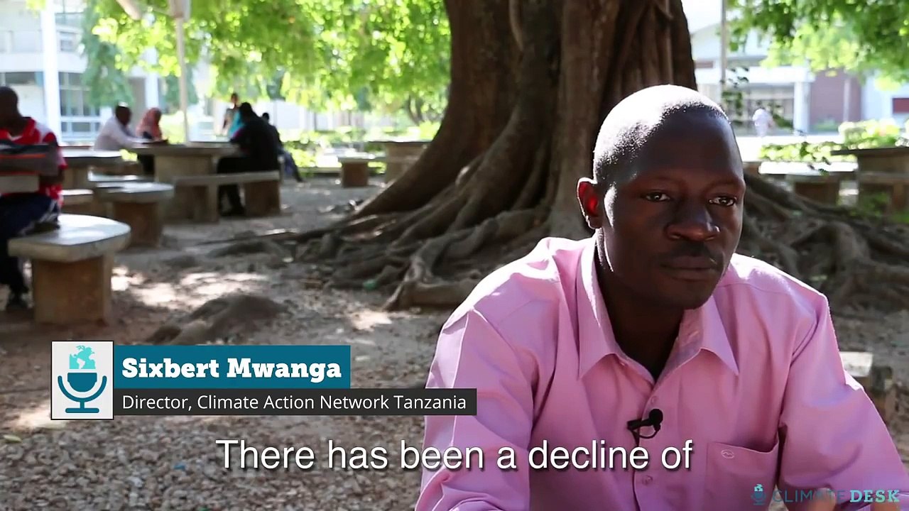 Why Are Fish Disappearing From Africas Biggest Lake?