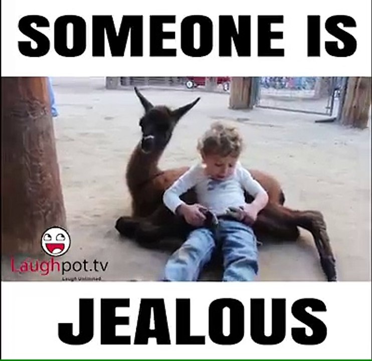 Funny scene for boy and horse