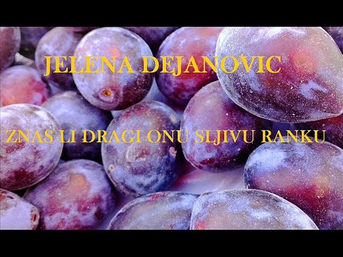 JELENA DEJANOVIC- ZNAS LI DRAGI ONU SLJIVU RANKU