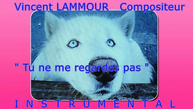 Vincent LAMMOUR Compositeur Tu ne me regardes pas INSTRUMENTAL