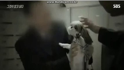 #토토솔루션 임대전문, 토토솔루션 운영방법, 토토솔루션 소스판매 BKSOFT (방문: totobksoft.com)