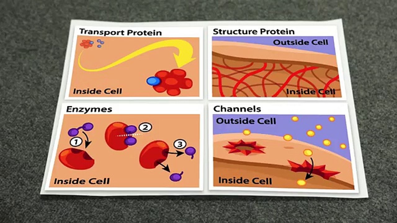 Amazing Paper trick at home a wonderful paper trick a very nice