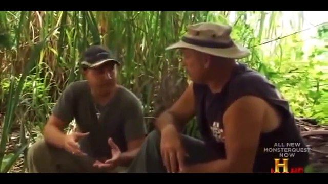 [National Geographic] Hybrid Giant Pythons Full Length | National Geographic Wild Document