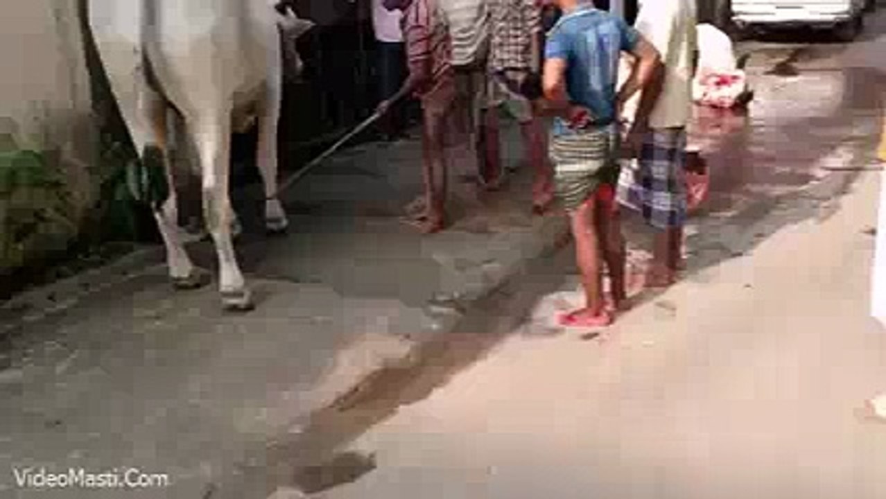 Kya Kick Mari Hai Haha - Very Funny(videomasti.com)