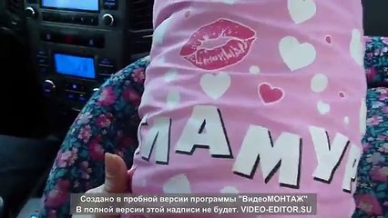 VLOG. День с собачкой Альмочкой)