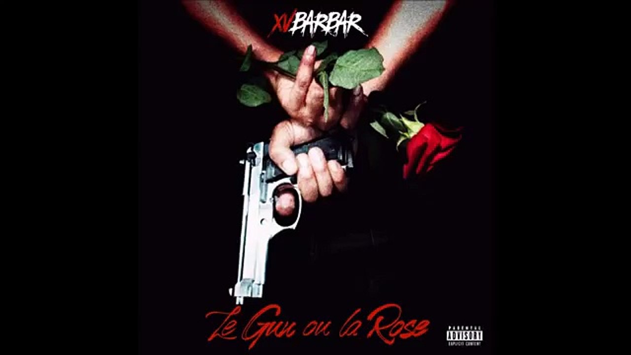 XV Barbare -Singerie