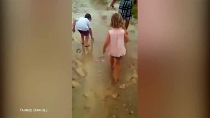 'It's raining fish!'-