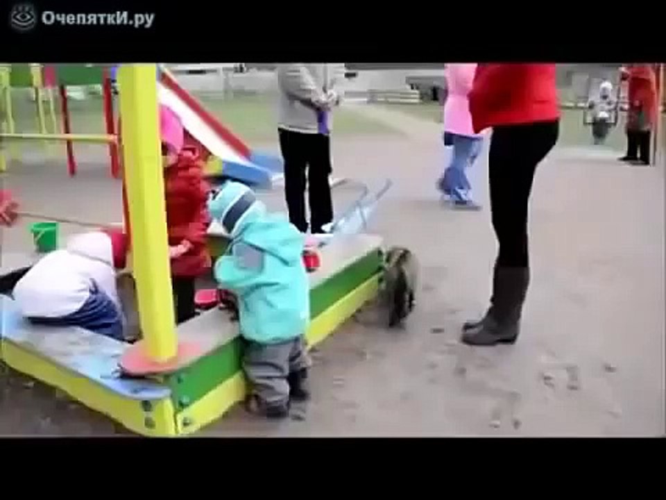 Кот защищает детей от собаки на площадке