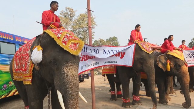 Manjares y bendiciones budistas para festejar el Día del Elefante