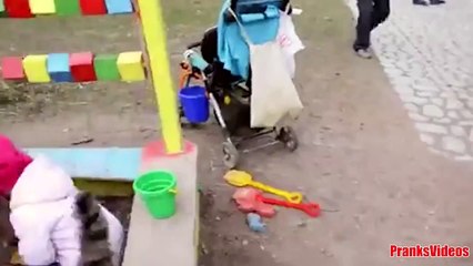 Watch Funny kittens  Смешные Котики