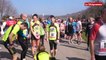 Semi-marathon. 1.300 participants au départ de Locronan-Quimper