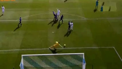 Zlatan Ibrahimovic Goal - Troyes 0 - 4 Paris SG - 13-03-2016