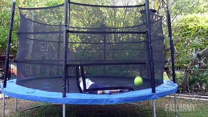 Ultimate Basketball Fails Compilation    March Badness by FailArmy