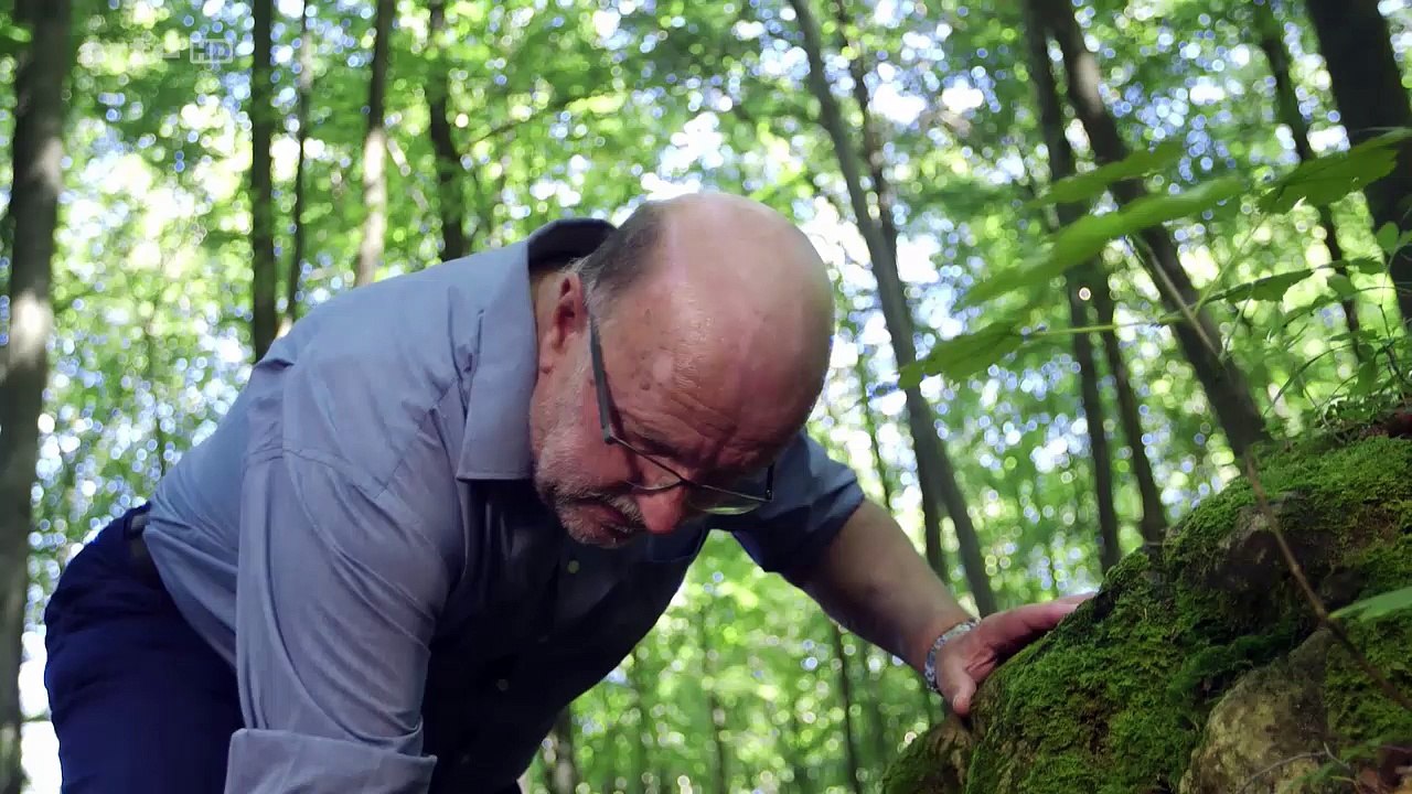 Les Romains En Germanie e02 L'age D'or