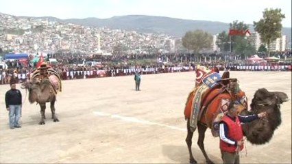 İzmir Bayraklı'da Deve Güreşleri