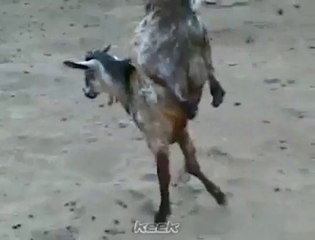 Allah Har Cheez Par Qadar Ha